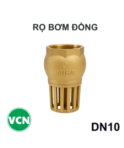 Rọ bơm đồng DN10