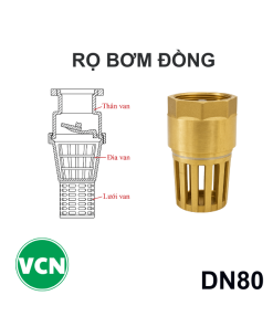 Rọ bơm đồng DN80