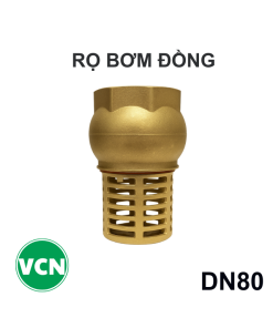 Rọ bơm đồng DN80