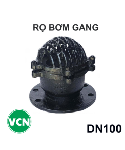 Rọ bơm gang DN100