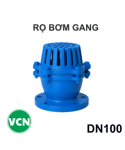 Rọ bơm gang DN100