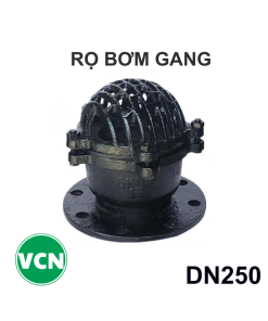 Rọ bơm gang DN250
