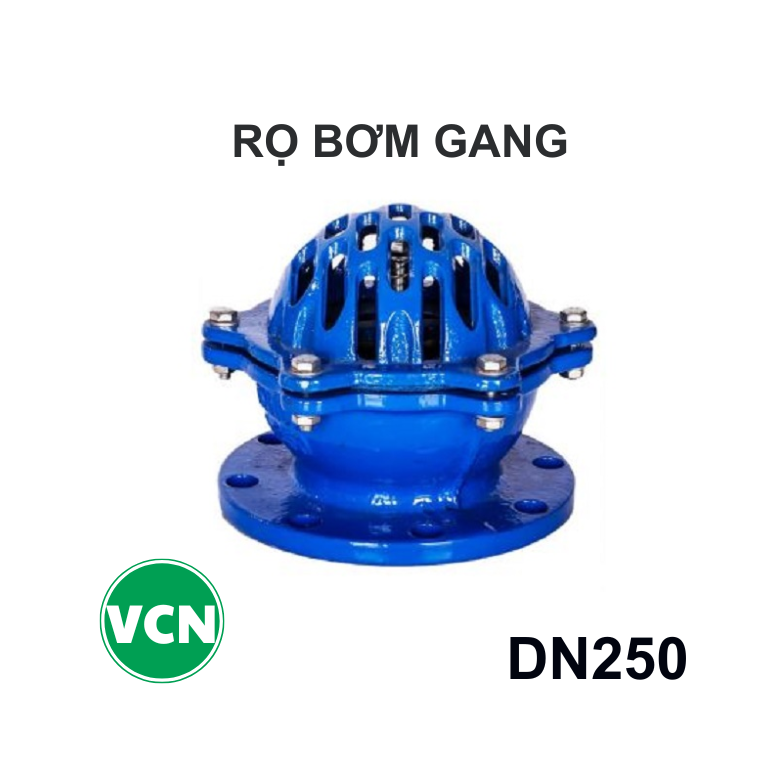 Rọ bơm gang DN250