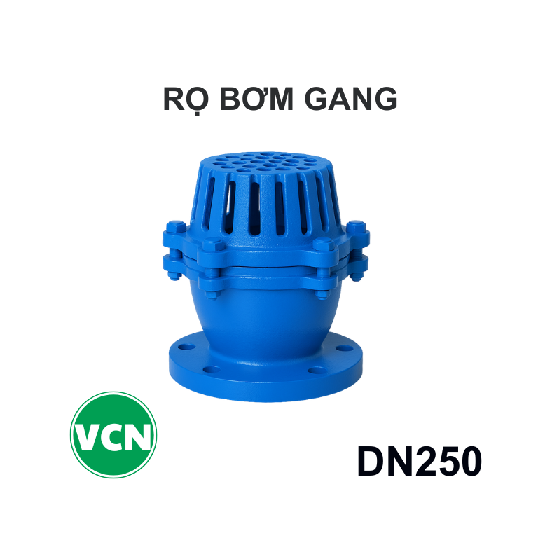 Rọ bơm gang DN250