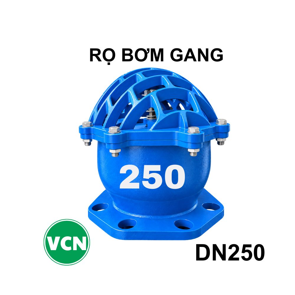 Rọ bơm gang DN250