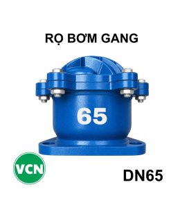 Rọ bơm gang DN65