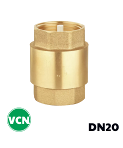 Van 1 chiều đồng lò xo DN20