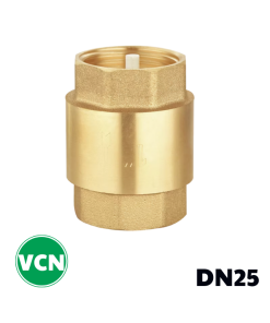 Van 1 chiều đồng lò xo DN25