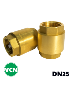 Van 1 chiều đồng lò xo DN25