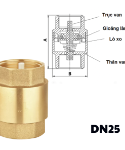 Van 1 chiều đồng lò xo DN25