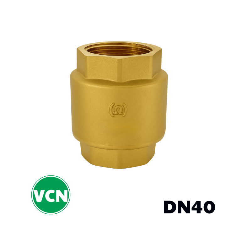 Van 1 chiều đồng lò xo DN40