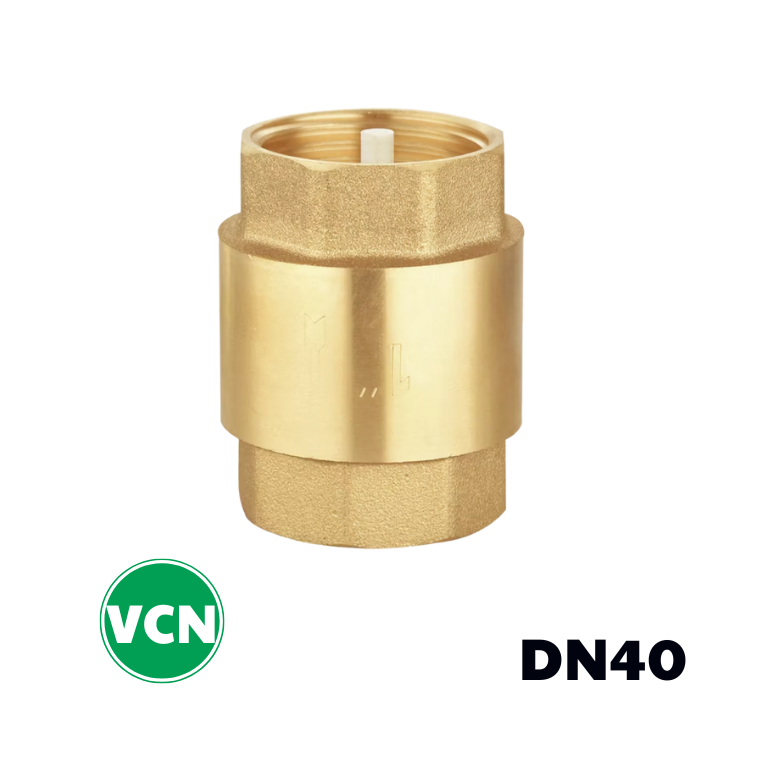 Van 1 chiều đồng lò xo DN40
