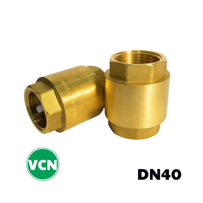 Van 1 chiều đồng lò xo DN40