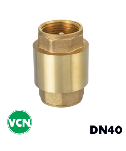 Van 1 chiều đồng lò xo DN40