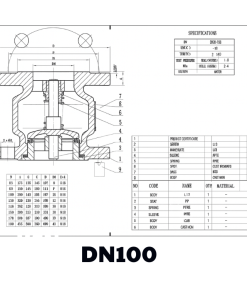 Van 1 chiều gang lò xo DN100