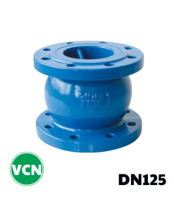Van 1 chiều gang lò xo DN125