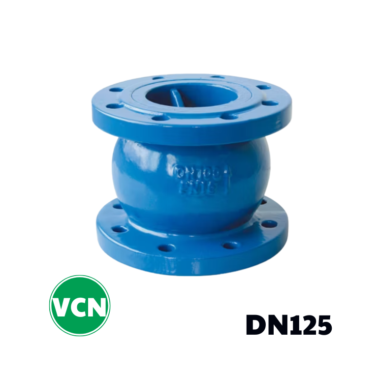 Van 1 chiều gang lò xo DN125