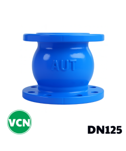 Van 1 chiều gang lò xo DN125
