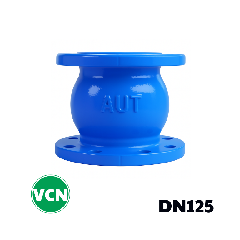 Van 1 chiều gang lò xo DN125