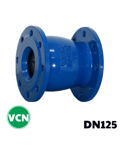 Van 1 chiều gang lò xo DN125