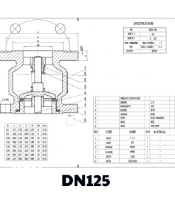 Van 1 chiều gang lò xo DN125