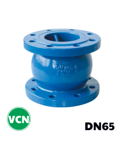 Van 1 chiều gang lò xo DN65