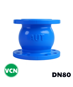 Van 1 chiều gang lò xo DN80
