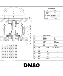 Van 1 chiều gang lò xo DN80