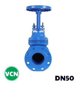 Van cổng gang ty nổi DN50