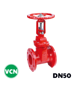 Van cổng gang ty nổi DN50