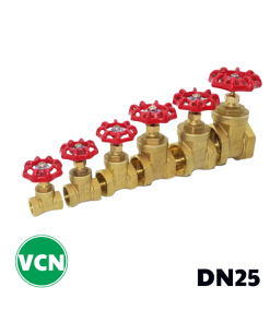 Van cửa đồng DN25
