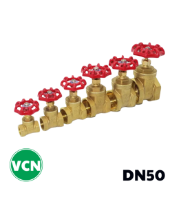 Van cửa đồng DN50
