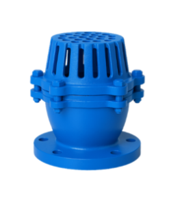 Rọ bơm gang
